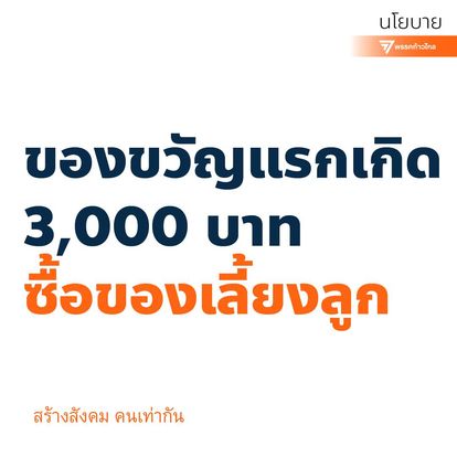 นโยบาย 300